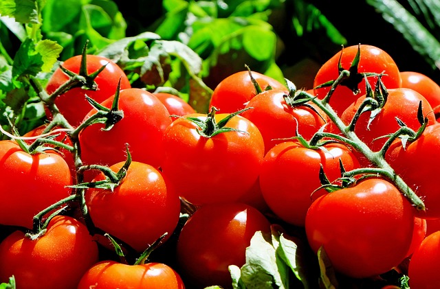 Farmers Market